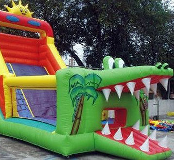 Imagem do Crocogan