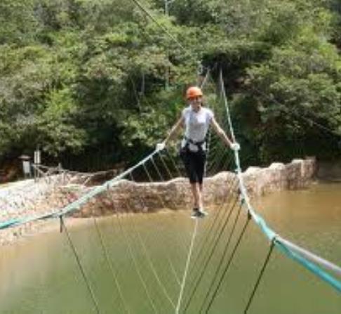 Imagem do produto X